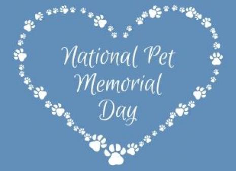 National Pet Memorial Day Event | Mohawk Hudson Humane Society